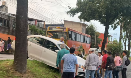 Se le acabó la calle y terminó en el camellón, Xalapa