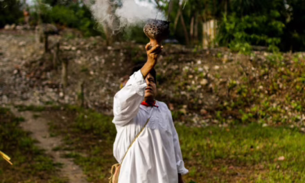 Saborea Veracruz desde el Totonacapan, productor de vainilla más importante de México