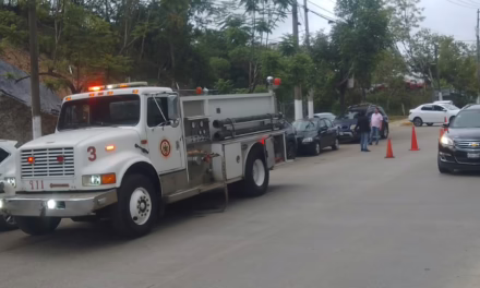Atiende Cuerpo de Bomberos reporte por enjambre de abejas en escuela de Xalapa