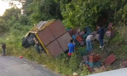 Se voltea camión cargado con verdura en la carretera Xalapa-Tlaltetela