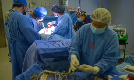 Exitosos trasplantes renales a dos jóvenes gracias a la donación de órganos