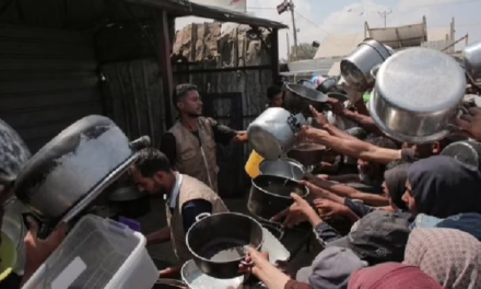 La ONU proclama oficialmente el estado de hambruna total en la Franja de Gaza.