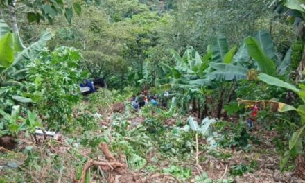 Accidente en el municipio de Yecuatla en la carretera Misantla-Xalapa.