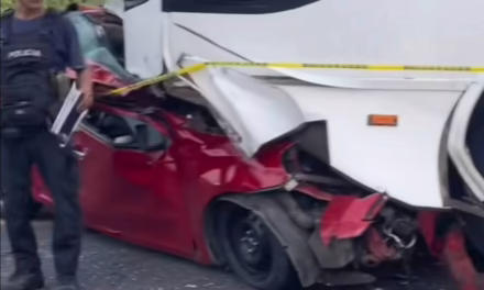 Accidente en la carretera Alvarado-Arbolillo cobra la vida de 2 adultos y un menor