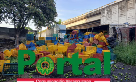 Se voltea vehículo de carga en la carretera Cardel – Poza Rica