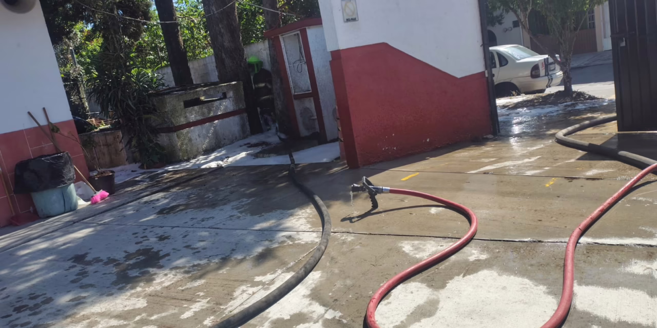 Bomberos retiran enjambre en escuela primaria de Xalapa