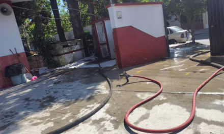 Bomberos retiran enjambre en escuela primaria de Xalapa