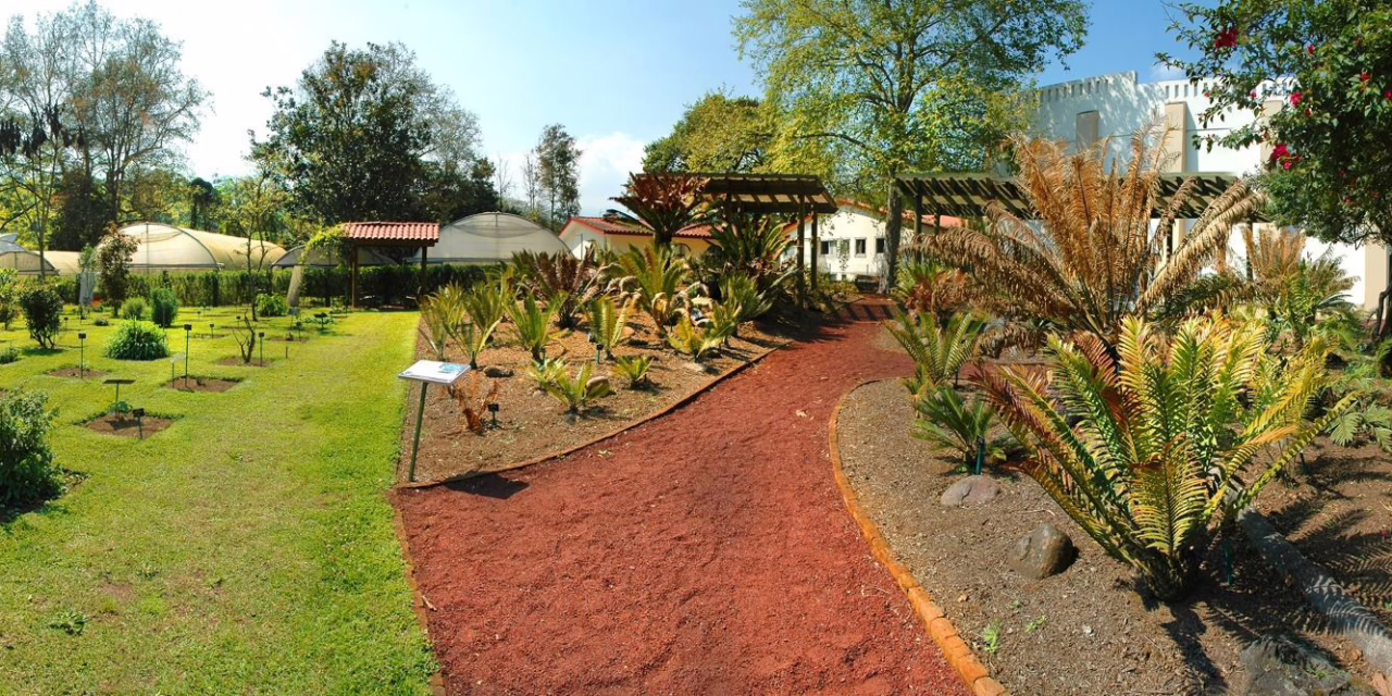 Recorre Xalapa, ciudad de parques: un respiro entre la urbanidad y la naturaleza