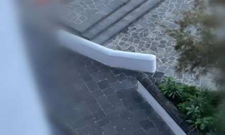 Se arroja persona del puente de Xallitic en Xalapa