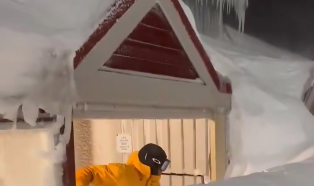 Video: tormenta de nieve en Australia