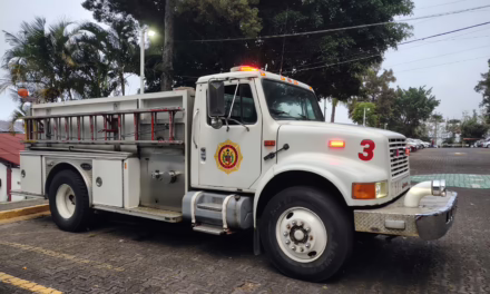 Atienden bomberos de Xalapa reporte de enjambre en oficinas de la SEV
