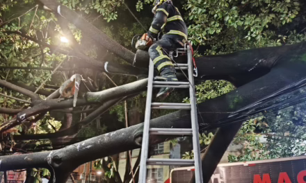 Debido a las lluvias en la cdmx, bomberos atienden 116 servicios