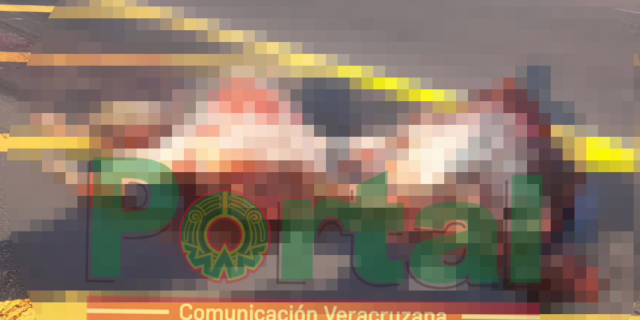 Caballo se atraviesa la carretera en la Cardel-Poza Rica; fue embestido por un tráiler