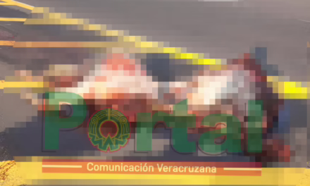 Caballo se atraviesa la carretera en la Cardel-Poza Rica; fue embestido por un tráiler