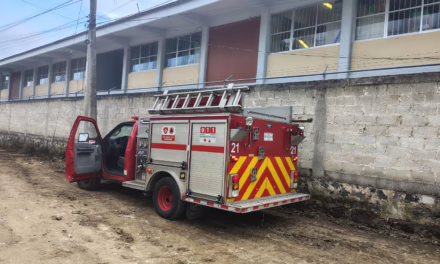 Bomberos retiran enjambre de abejas en primaria de Xalapa