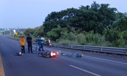 Accidente en la autopista Veracruz – Cardel, una persona fallecida y un lesionado