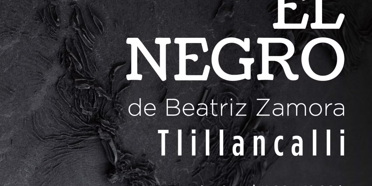 Continúa El Negro de Beatriz Zamora en la Pinacoteca