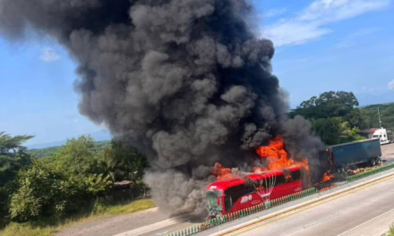 En la autopista Veracruz-Córdoba, accidente entre un ADO y un tráiler