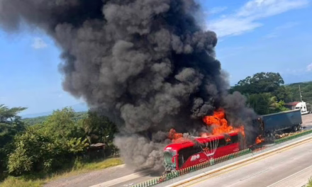 ADO tenía como destino Xalapa, 12 lesionados en la autopista Córdoba-Veracruz