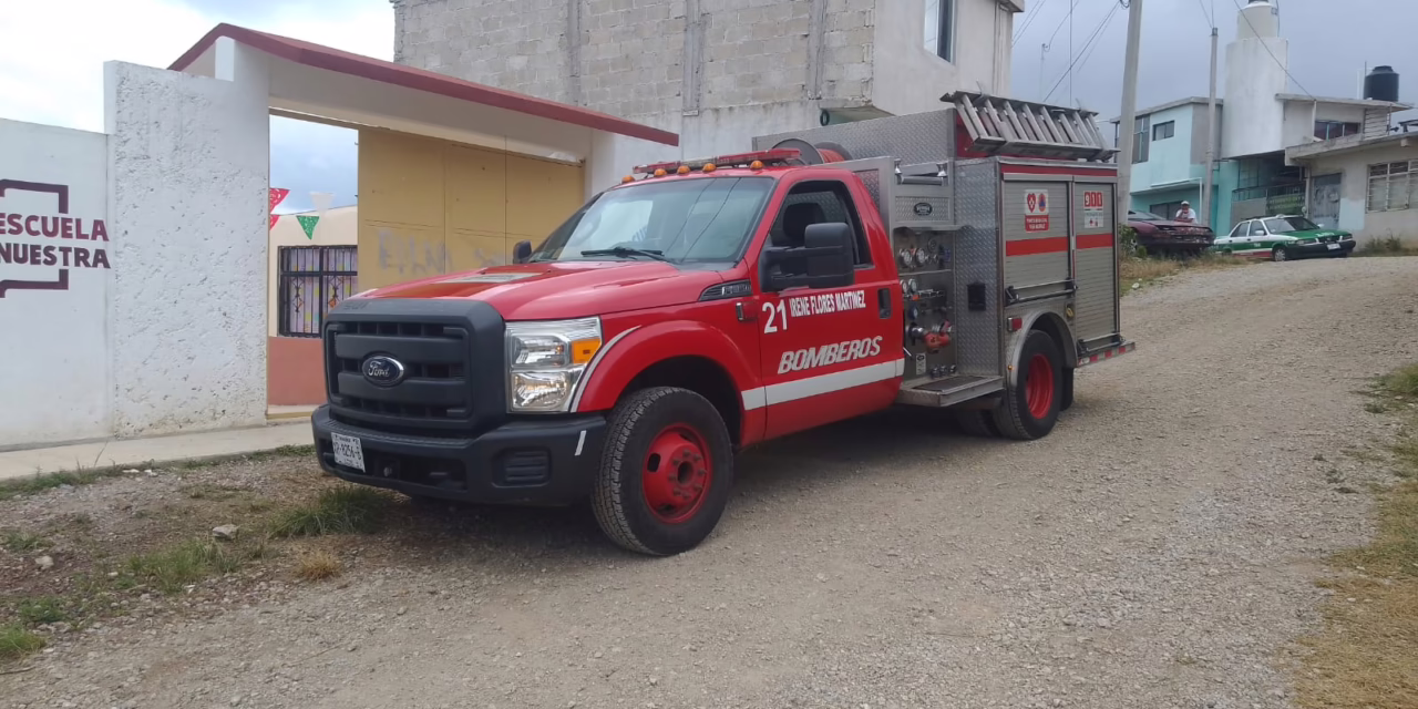 Bomberos de Xalapa atienden dos emergencias por enjambres 