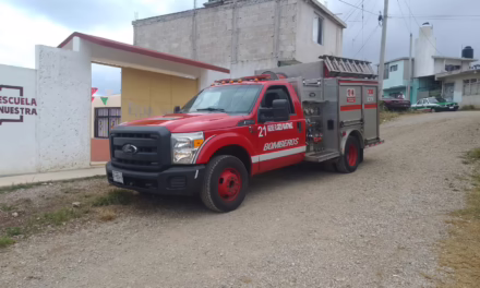 Bomberos de Xalapa atienden dos emergencias por enjambres 