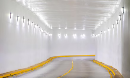 Renueva Ayuntamiento de Xalapa alumbrado en el Viaducto