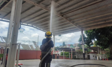 Bomberos de Xalapa retiran enjambre de escuela primaria