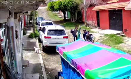 Video:Ladrones son sorprendidos robando en el interior de un domicilio en Xalapa