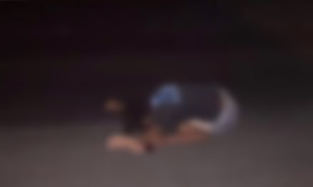 Persona pierde la vida atropellada en la autopista Veracruz -Cardel