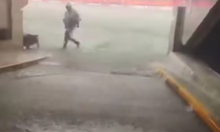 Video:Se inunda el estadio Akron previo al partido Chivas vs Tigres