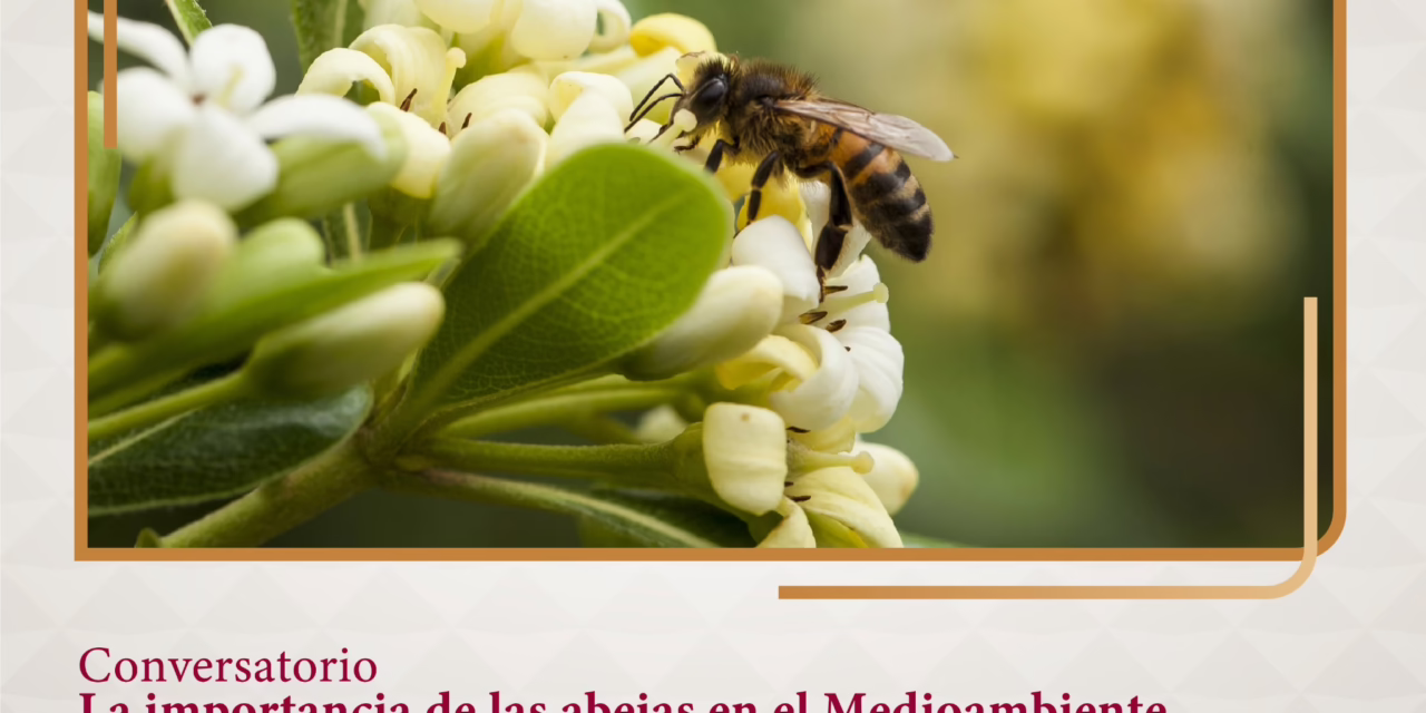 Jornada medioambiental ofrecerá productos de la colmena en el MAEV