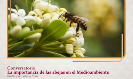 Jornada medioambiental ofrecerá productos de la colmena en el MAEV