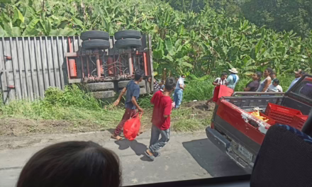 Vuelca tráiler cargado de pollos en la carretera Santa Cruz -Cosamaloapan