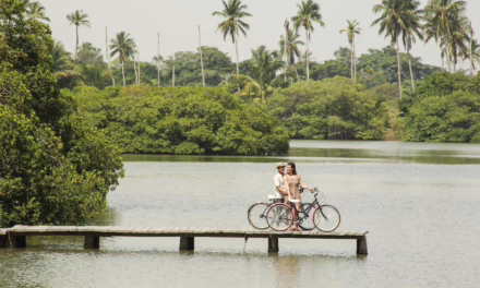 Huasteca veracruzana, destino de raíces ancestrales, música y paisajes que enamoran