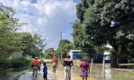 Gobierno del Estado despliega respuesta por inundaciones en el sur de Veracruz