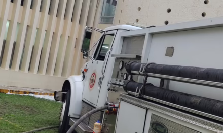 Acuden Bomberos para retirar panales de avispas del Registro Civil de Xalapa