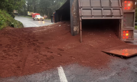 Vuelca tractocamión en la carretera Xalapa -Perote