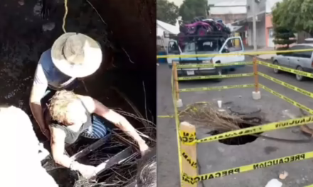 VIDEO:SEÑORA DE LA TERCERA EDAD CAE A SOCAVÓN EN GUADALAJARA