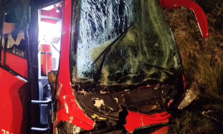 Accidente en la autopista Puebla – Orizaba, ADO con personal de Audi involucrado