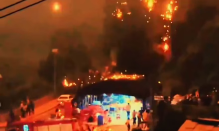 Video:Fuegos artificiales con drones que se descontroló en Liuyang (China)