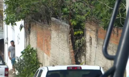 Hallan 14 bolsas con restos humanos en fosa clandestina de Zapopan, Jalisco