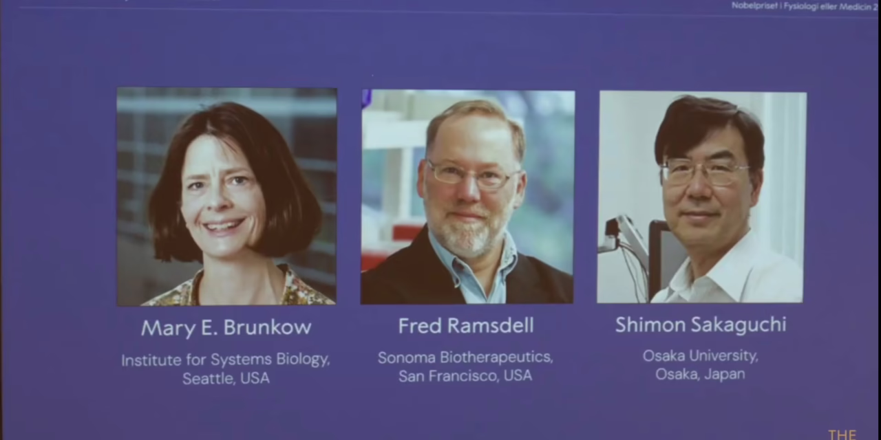 Premio Nobel de Fisiología o Medicina 2025 fue otorgado a Mary E. Brunkow, Fred Ramsdell y Shimon Sakaguchi 