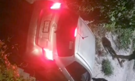Video: Ingresan a un andador y bajan escaleras con todo y coche en Xalapa