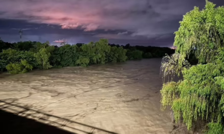 Video: Rio Cazones en Poza Rica, esta por alcanzar su nivel critico, subió cuatro metros de altura