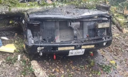 Cae un árbol sobre una camioneta en la México- Tuxpan