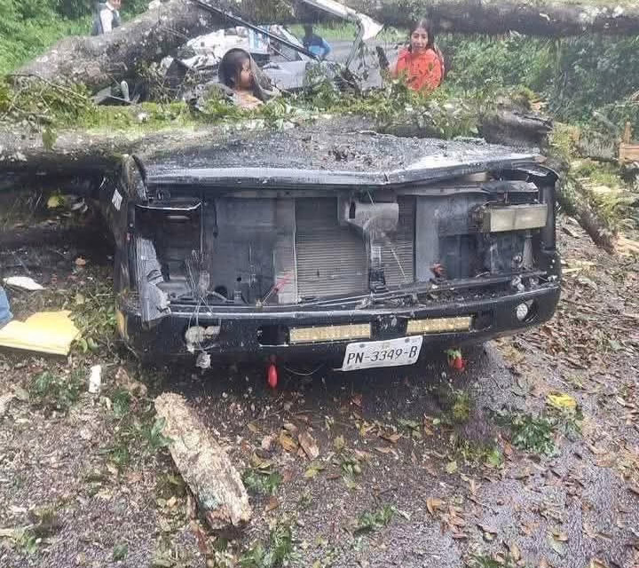 Cae un árbol sobre una camioneta en la México- Tuxpan