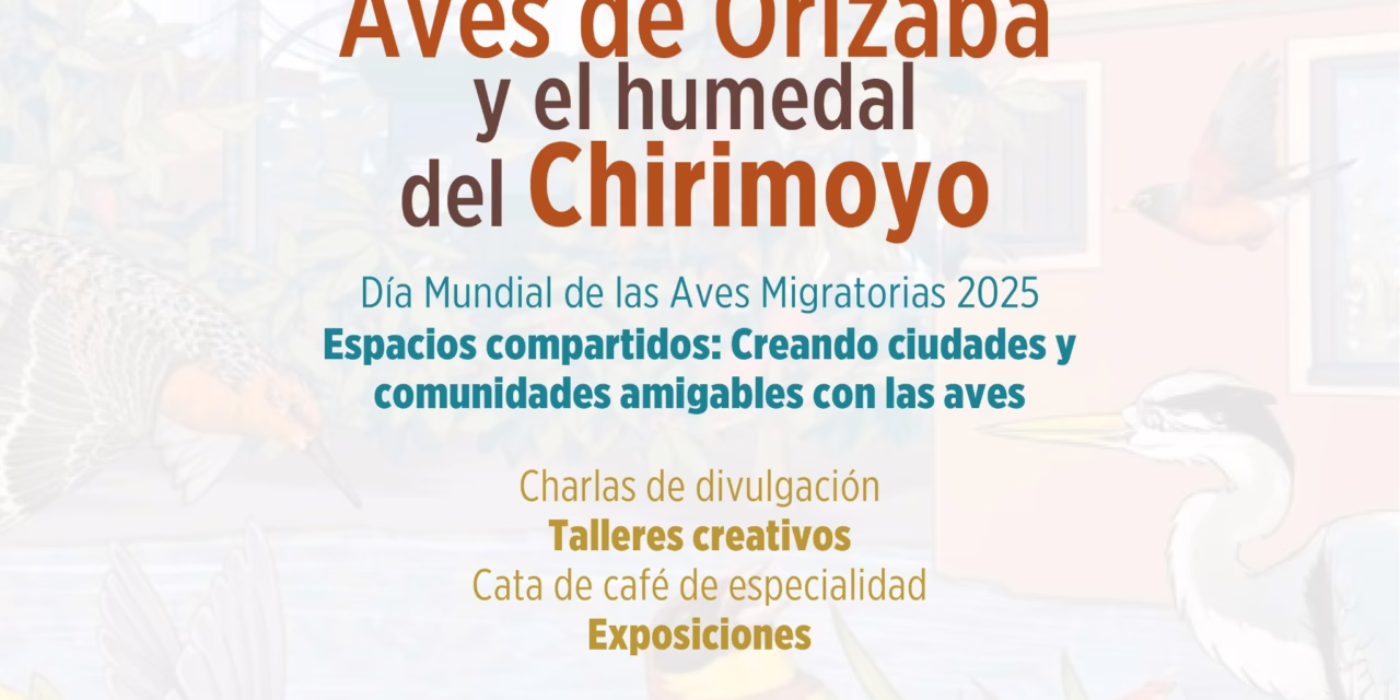 Acude al festival de Aves de Orizaba en el MAEV