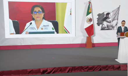 En Veracruz 29 fallecidos y 18 desaparecidos:Laura Velázquez