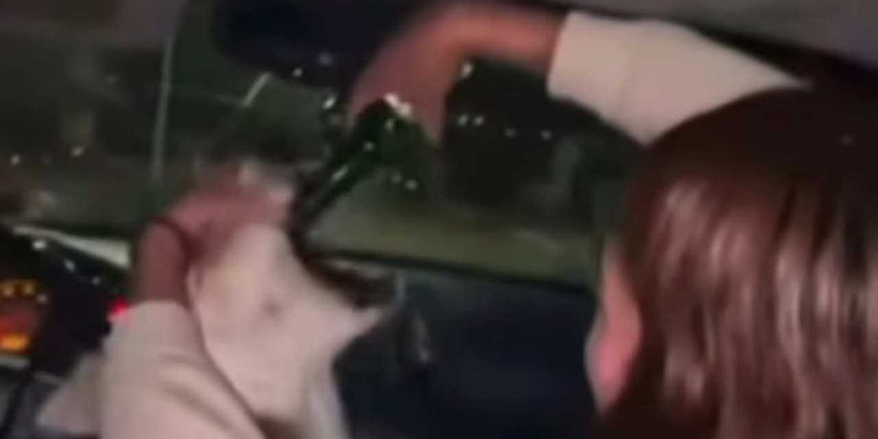 Video:Un grupo de jóvenes obligando a un perro a ingerir bebidas alcohólicas en Chihuahua