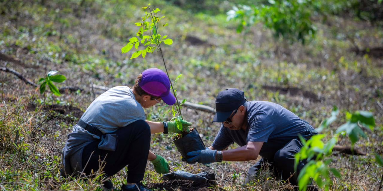 Trabaja Ayuntamiento por un mejor medio ambiente: Alberto Islas